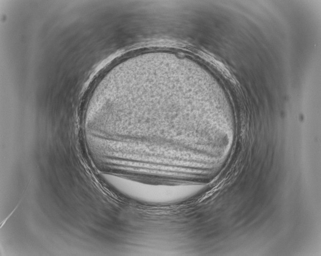 X0000085821264200704091623