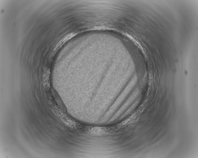 X0000085821265200704091623