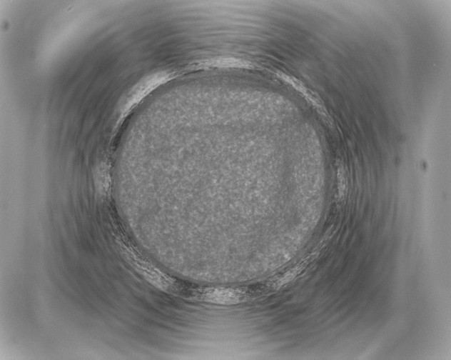 X0000085821266200704091623