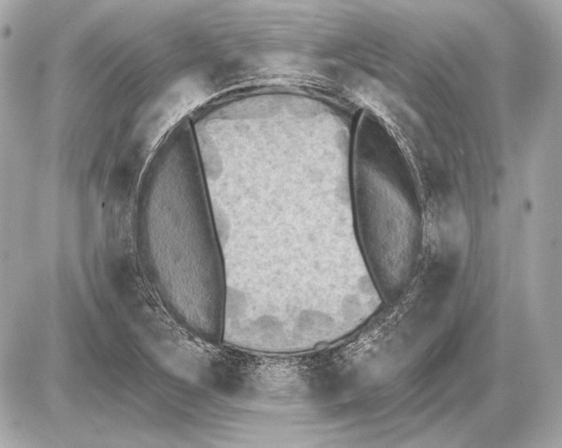 X0000085821267200704091623