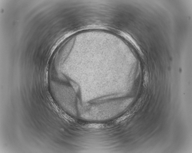 X0000085821268200704091623