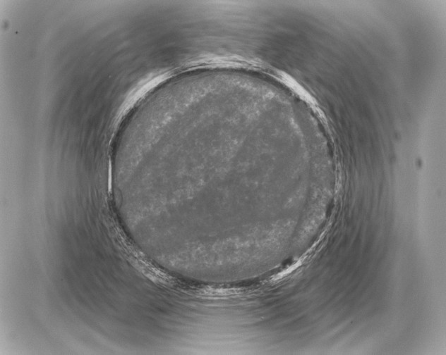 X0000085821269200704091623