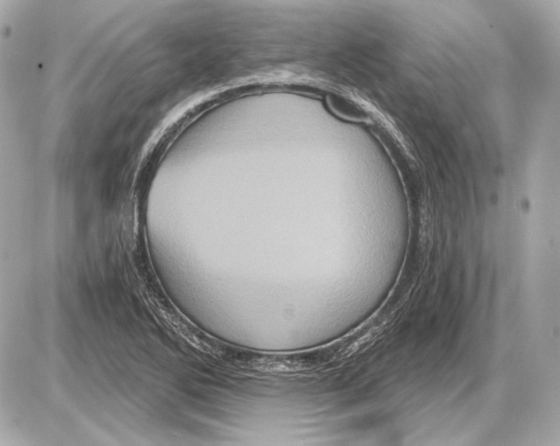 X0000085821270200704091623