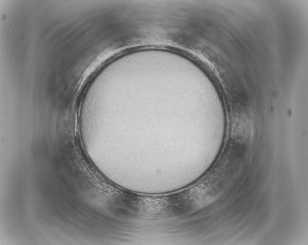 X0000085821271200704091623