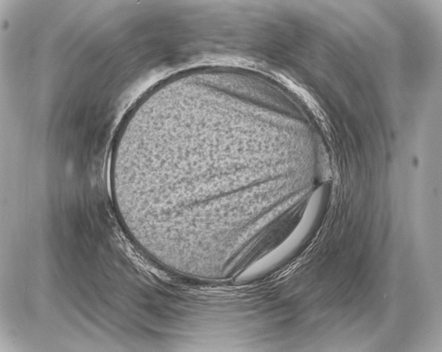 X0000085821272200704091623