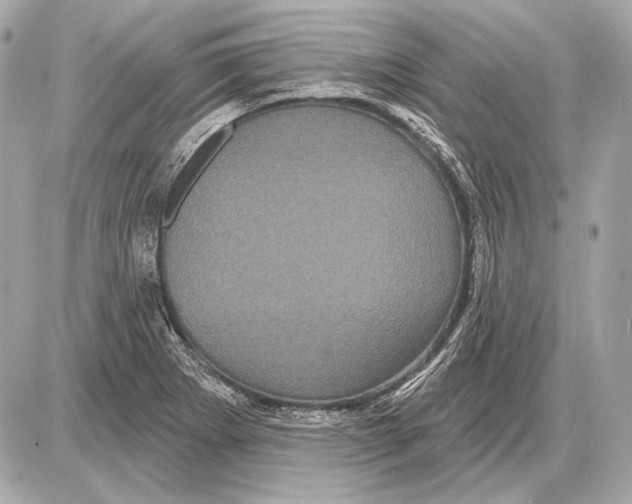 X0000085821273200704091623