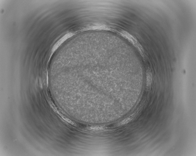 X0000085821274200704091623