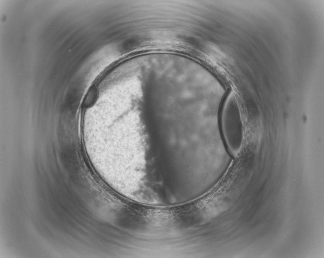 X0000085821275200704091623