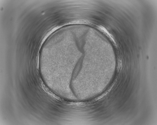 X0000085821276200704091623