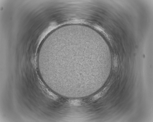 X0000085821278200704091623