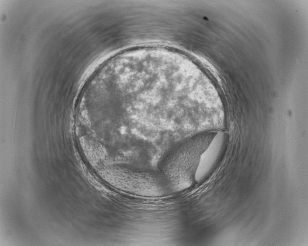 X0000085821279200704091623