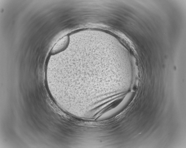 X0000085821280200704091623