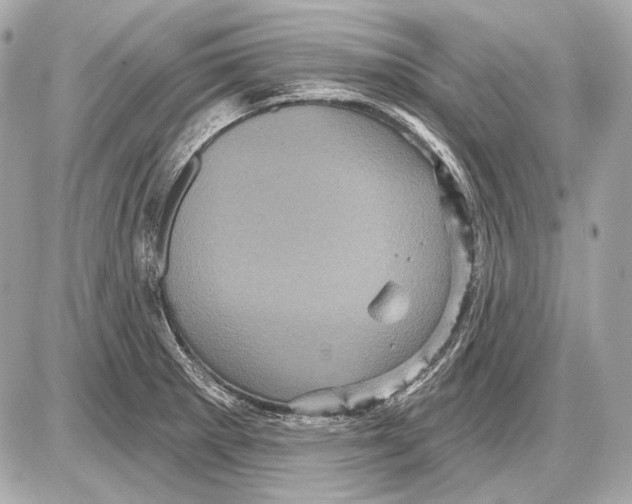 X0000085821281200704091623