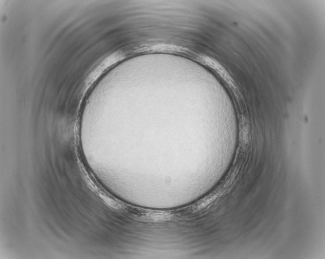 X0000085821282200704091623