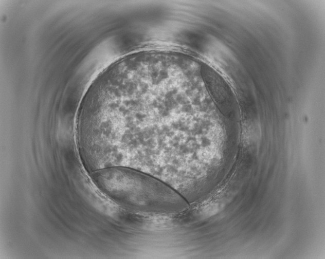 X0000085821283200704091623