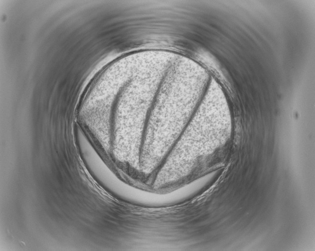 X0000085821284200704091623