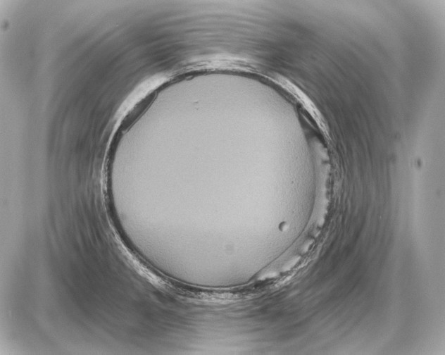 X0000085821285200704091623