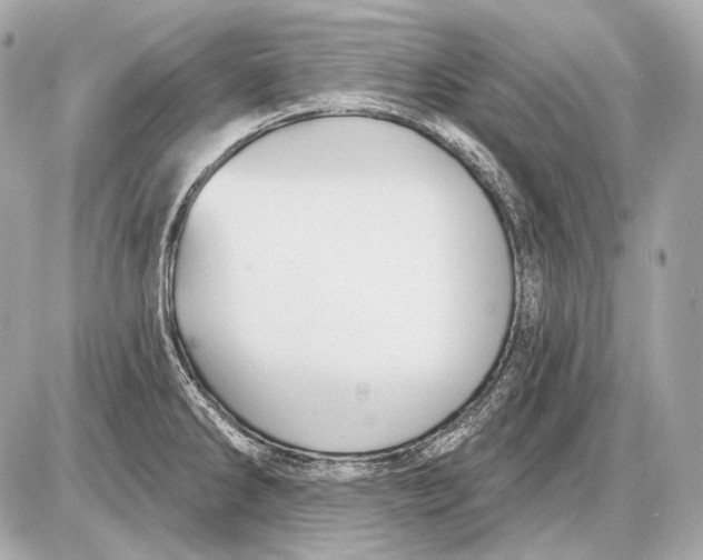 X0000085821286200704091623