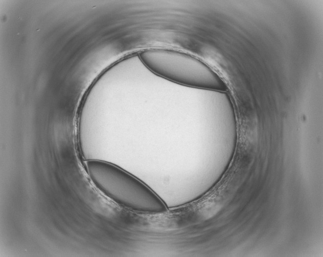 X0000085821287200704091623