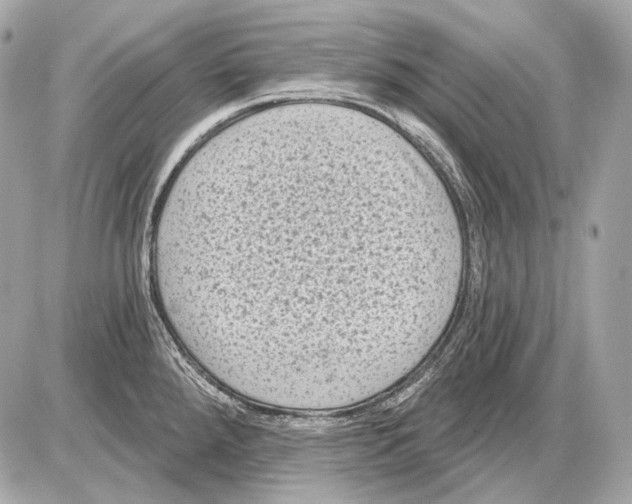 X0000085821288200704091623