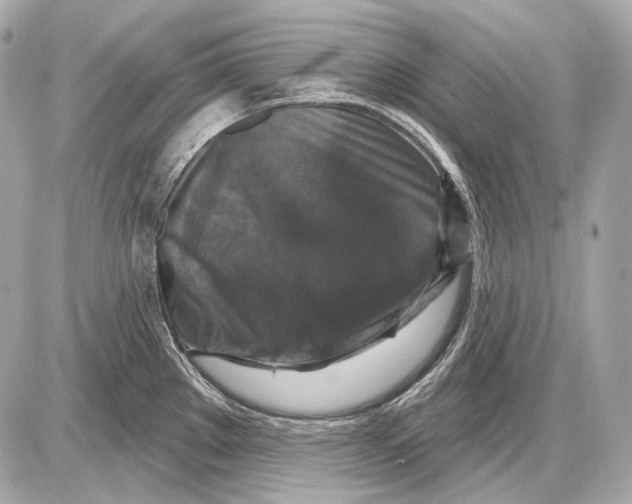 X0000085821289200704091623