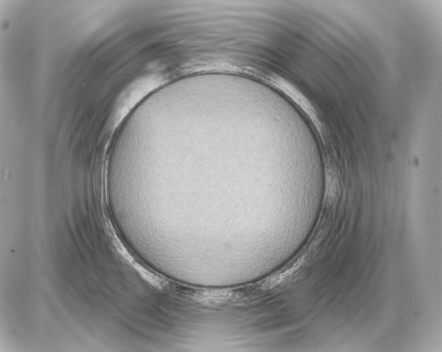 X0000085821290200704091623