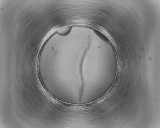 X0000085821291200704091623