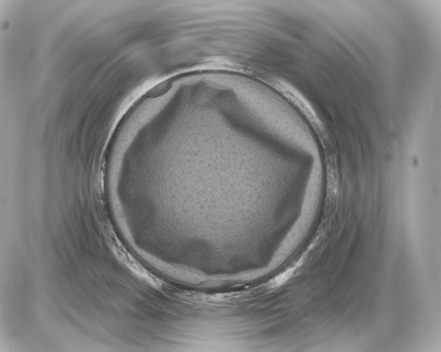 X0000085821292200704091622