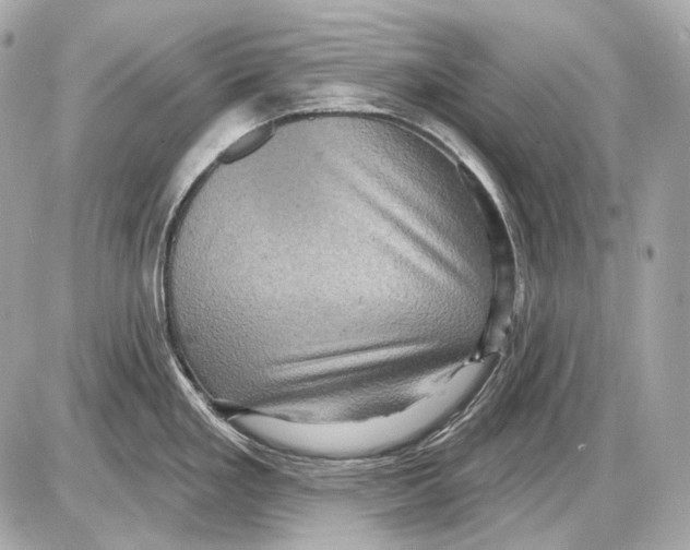 X0000085821293200704091622