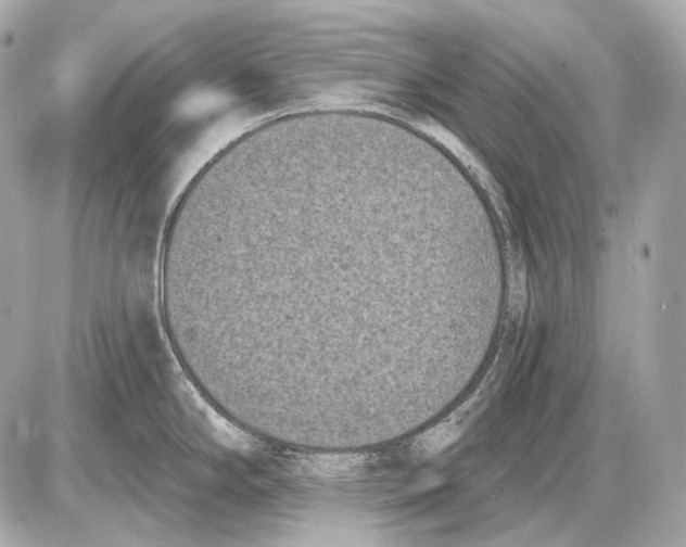 X0000085821294200704091622