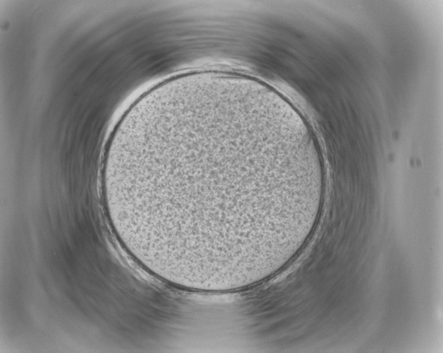 X0000085821296200704091622