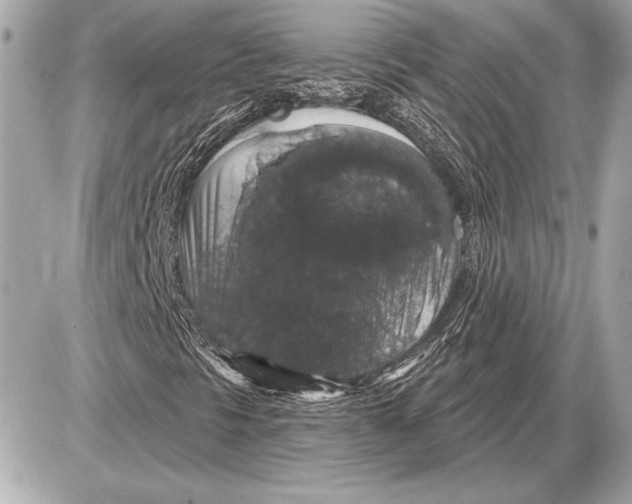 X0000085821297200704091622