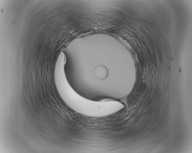 X0000085821298200704091622