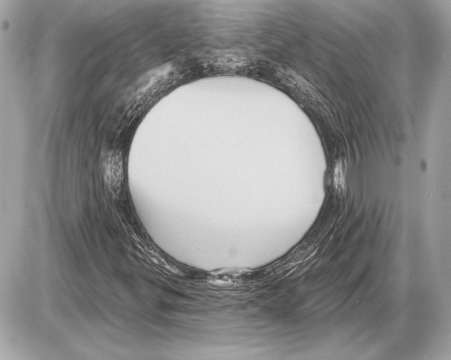 X0000085821299200704091622