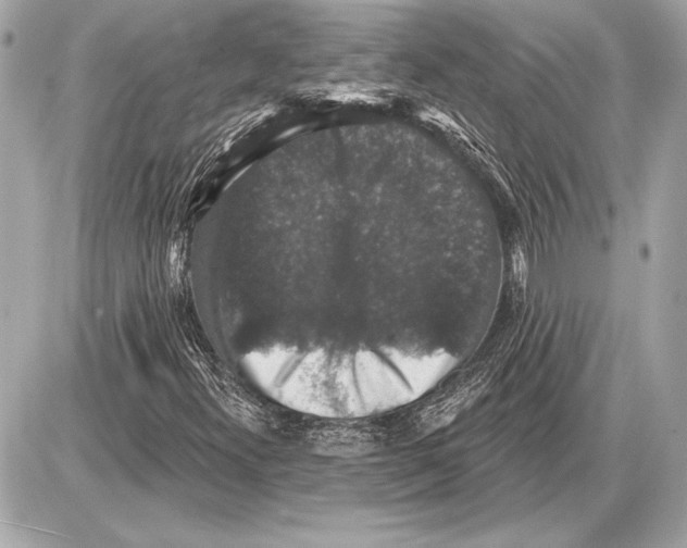 X0000085821300200704091622