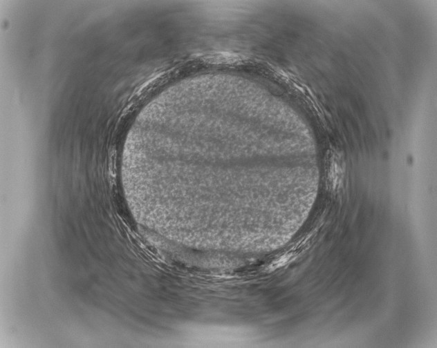 X0000085821301200704091622