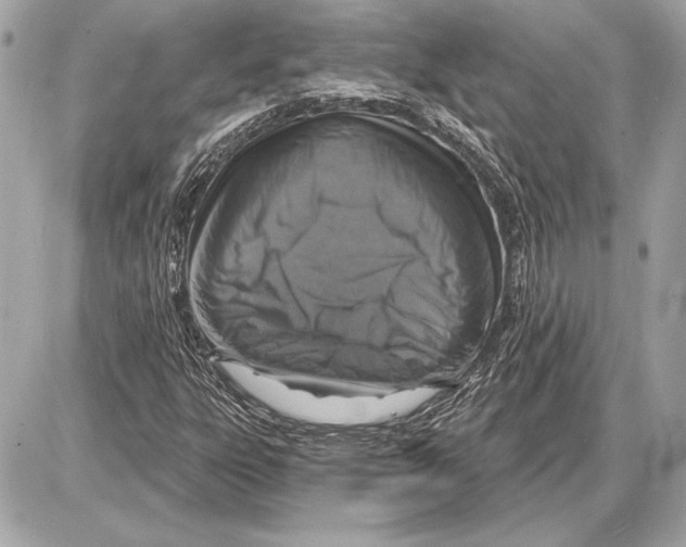 X0000085821303200704091622