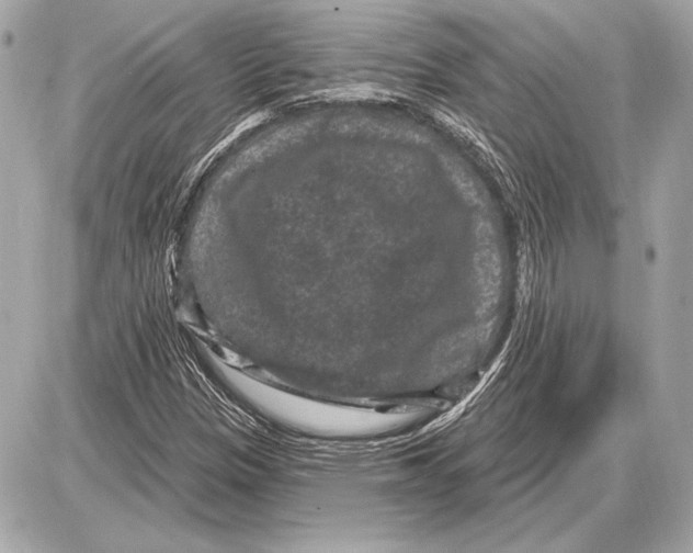 X0000085821305200704091622