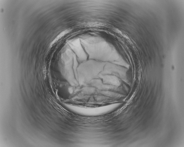 X0000085821306200704091622