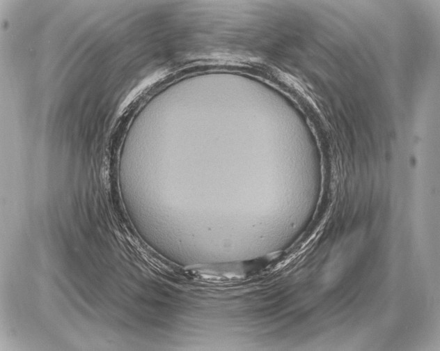 X0000085821307200704091622