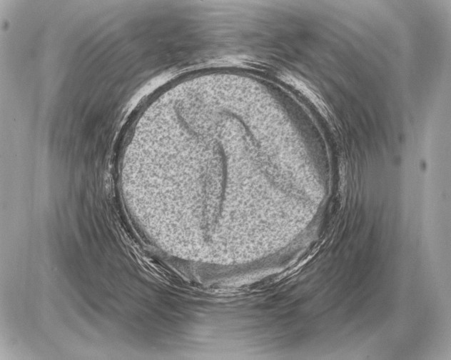 X0000085821308200704091622