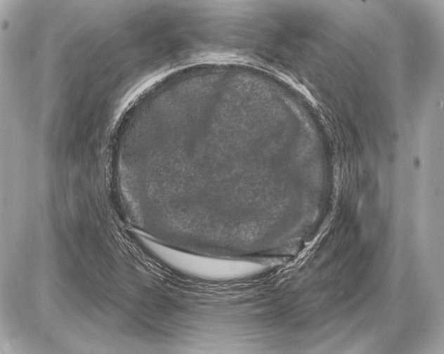 X0000085821311200704091622