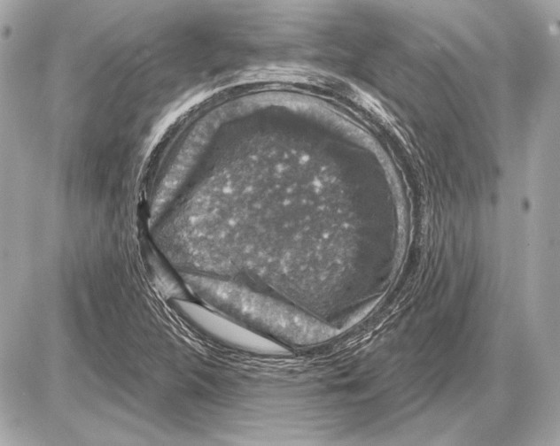 X0000085821312200704091622