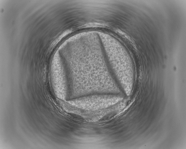 X0000085821313200704091622