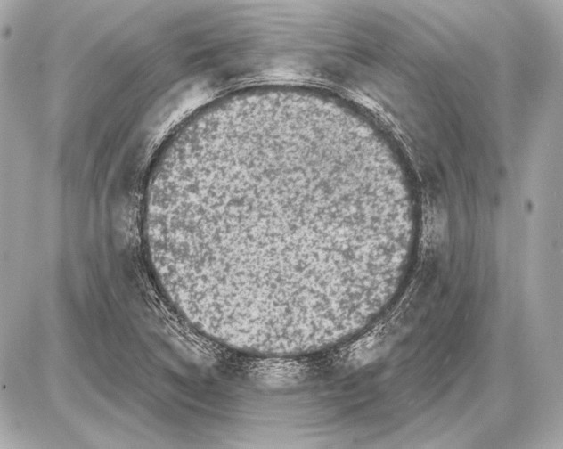 X0000085821314200704091622