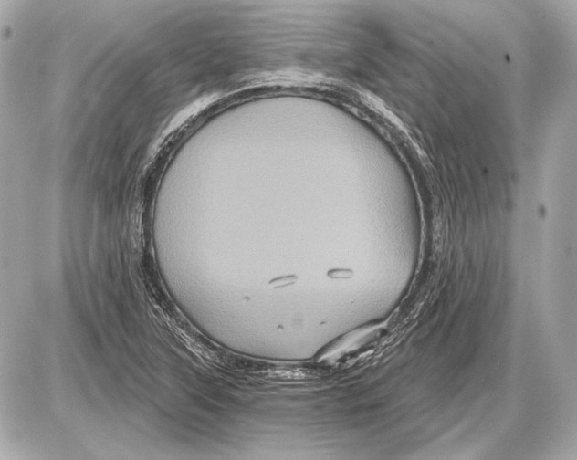 X0000085821315200704091622