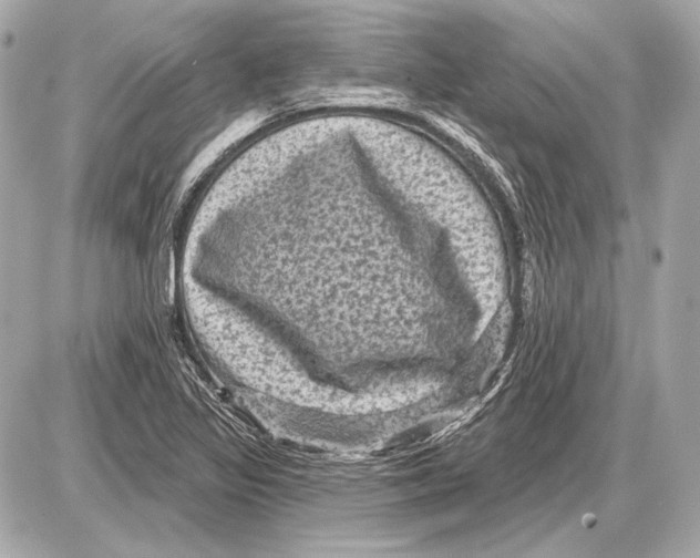 X0000085821317200704091622