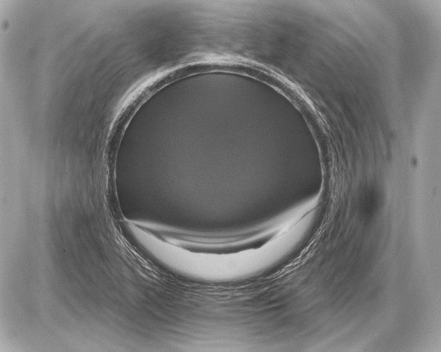 X0000085821319200704091622