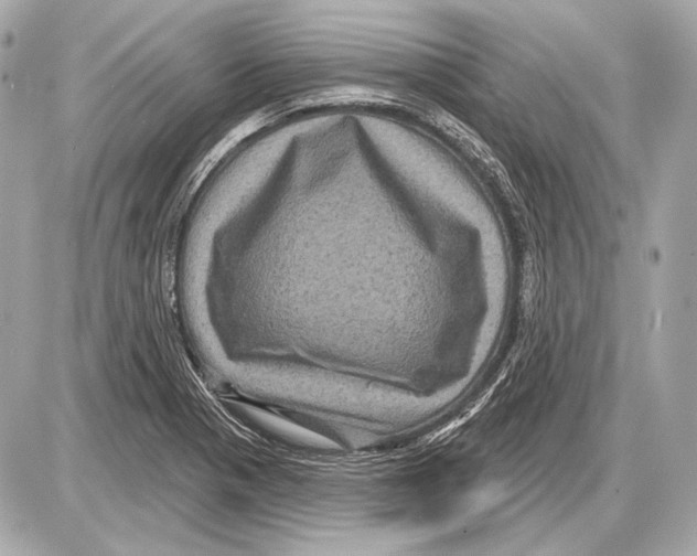 X0000085821321200704091622