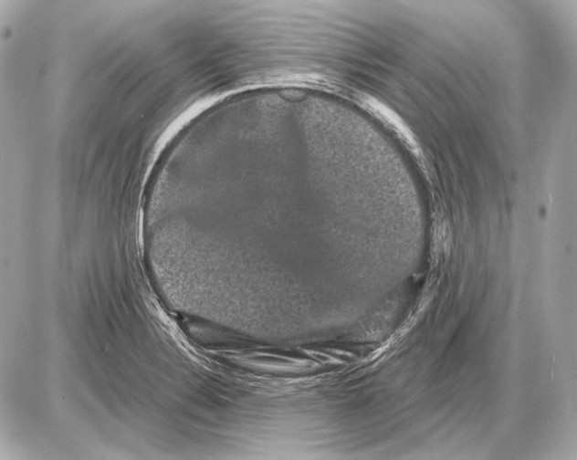 X0000085821324200704091622